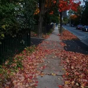 Meet your Posher, Iman